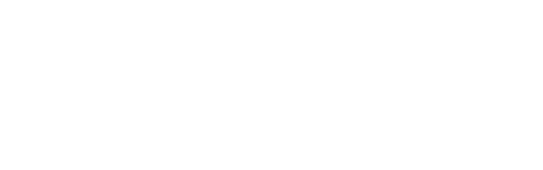 Polo IT