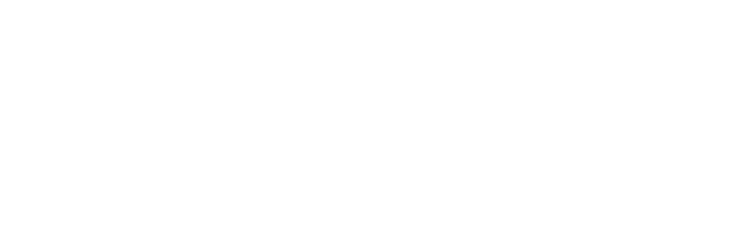 Polo IT
